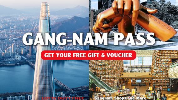 Gang-nam Pass (Free Gift Included)