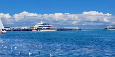 【贈送早餐·多車型多套餐可選】塔爾寺+拉脊山+青海湖一日遊