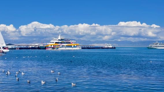 塔爾寺+拉脊山+青海湖一日遊【多元車型多元組合可選】
