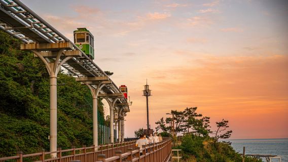 Busan Old Town & Sunset Sky Capsule Tour (Cheongsapo + Gamcheon Culture Village + Jagalchi Market/ Gukjae Market & BIFF Square/ Nampo + Songdo Beach)