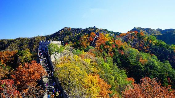 1-day tour to Mutianyu Great Wall and Beijing Zoo [private English-speaking tour includes cable car, guide, transportation and panda viewing]