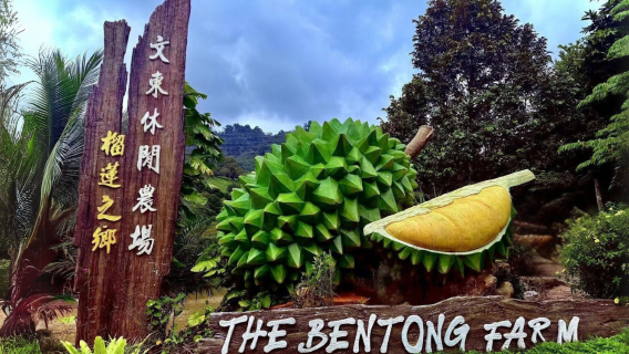 Kuala LumpurTour Trong Ngày