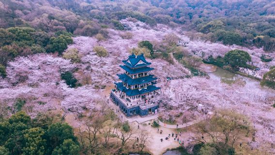 青森日遊