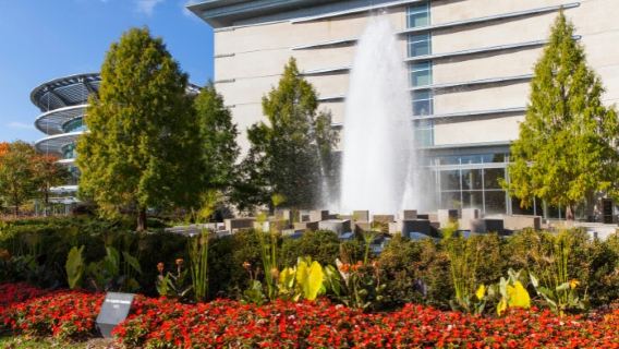 IndianapolisTravel Services