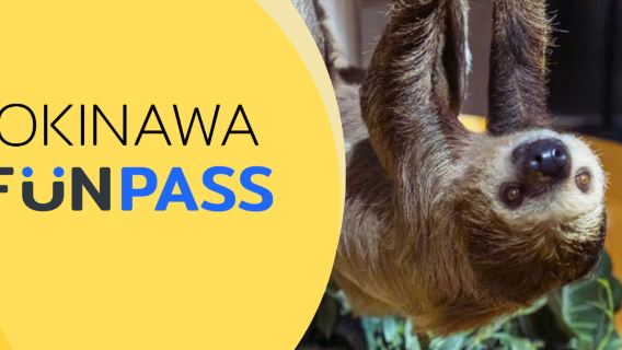 沖繩FunPASS 超省系列∣景點體驗任選, 交通與購物優惠