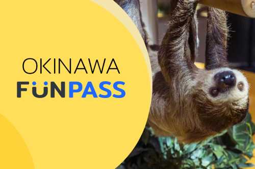 沖繩FunPASS 超省系列∣景點體驗任選, 交通與購物優惠