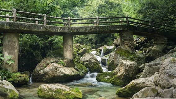 Dujiangyan