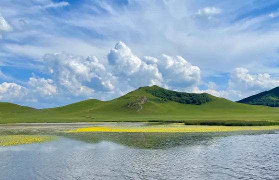 河北承德：木蘭圍場（塞罕壩機械林場）【包車｜中英文導遊】C