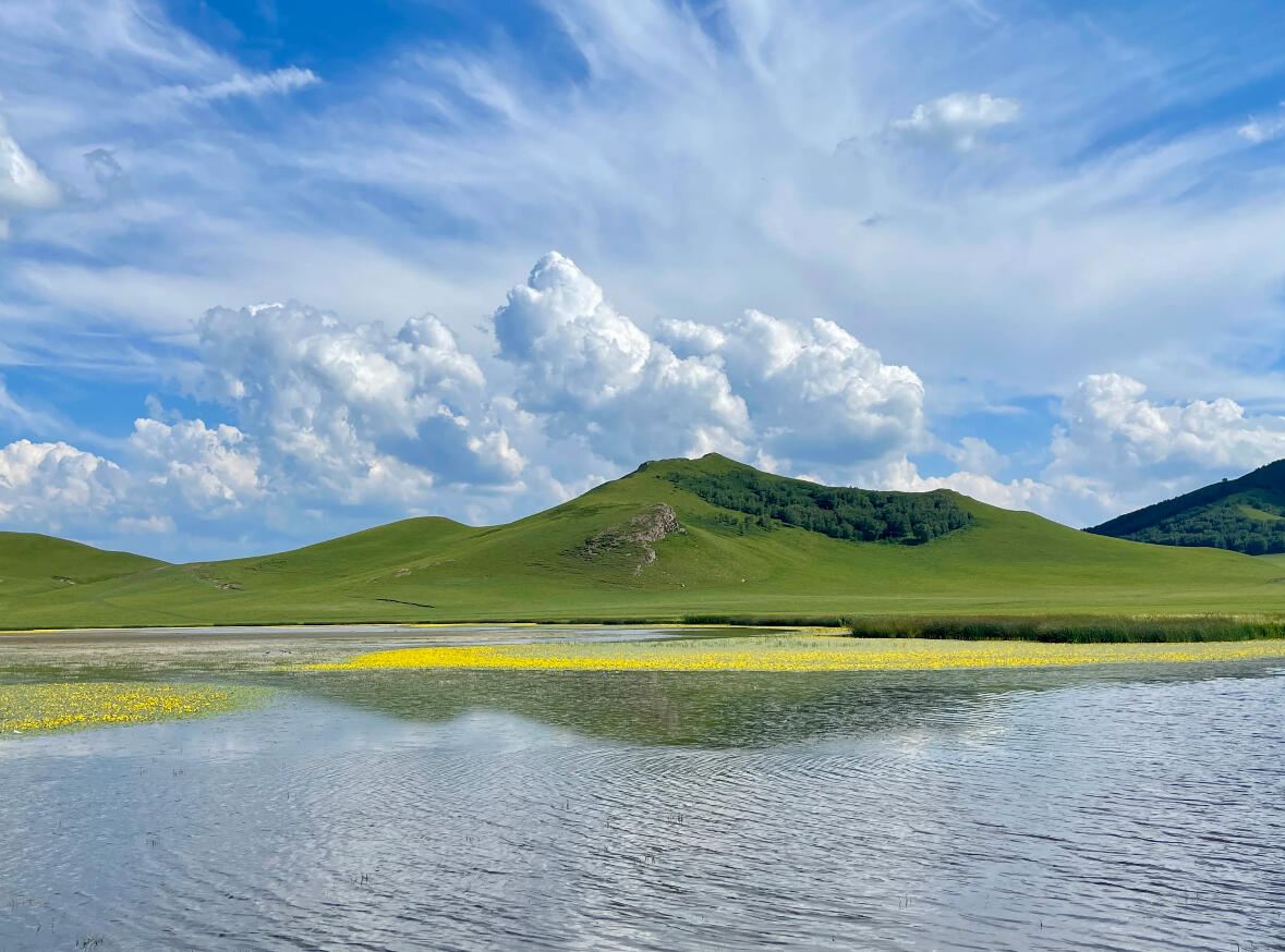 Hebei Chengde: Mulan Weichang (“Hunting Ground”) (Saihanba Mechanical Forest Farm) [Private Charter | Bilingual Guide]