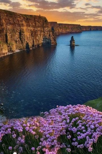 愛爾蘭境內  專業翻譯|旅遊地陪|商務翻譯|陪同拜訪|口譯