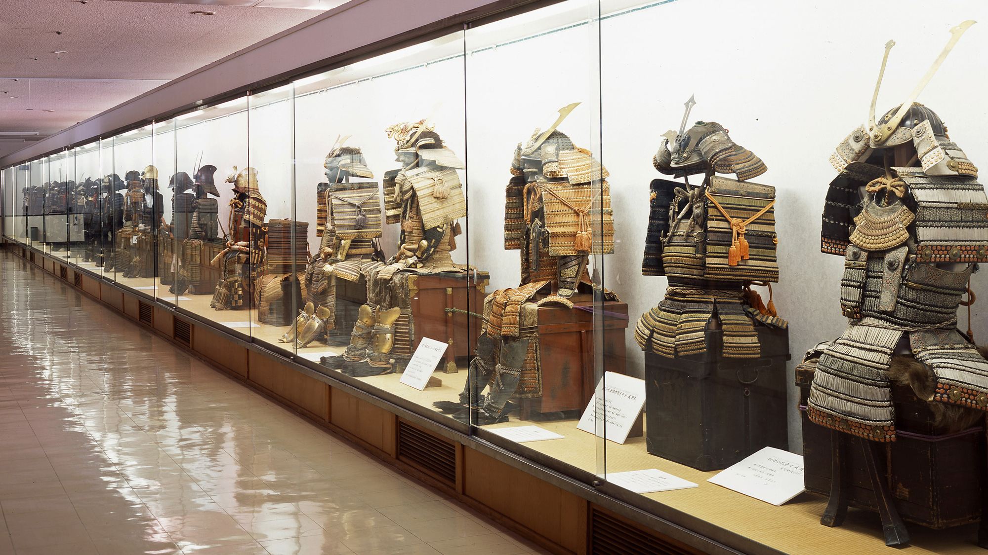 ทตโตริ ซิตี้ พาส|สนุกสนานในจังหวัดทตโตริ|บัตรท่องเที่ยวทตโตริ 1 สัปดาห์ฟรี