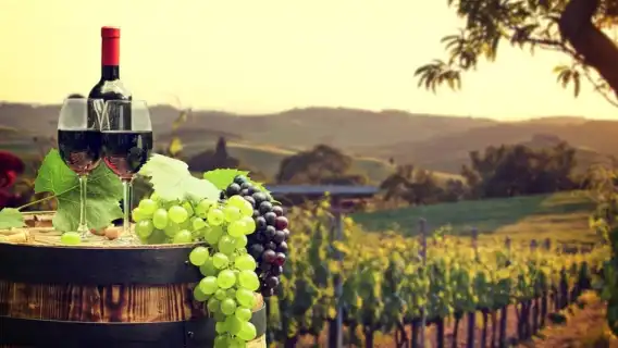 アルメニアの聖地日帰りツアー：エチミアジン、ゲガルド修道院、ノラヴァンクのディープツアー