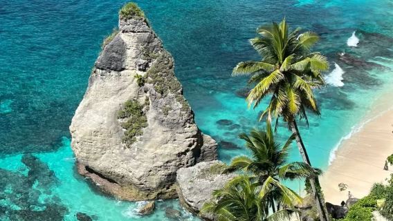 excursión de un día a la costa oeste de Bali y Nusa Penida [Coche privado + Barco compartido + almuerzo buffet]