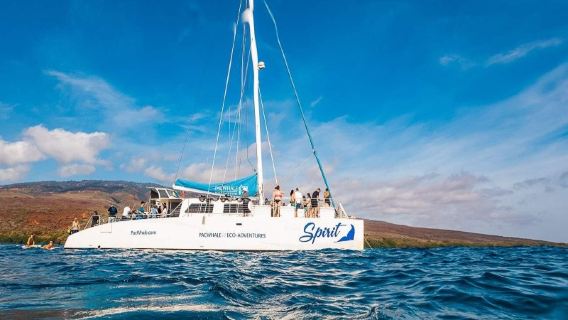 アメリカ・ハワイ島で体験するダイビング&シュノーケリング5時間【アメリカ・ハワイ・ラナイ島シュノーケリングツアー&ドルフィンウォッチングクルーズ(ランチ付き)169811】