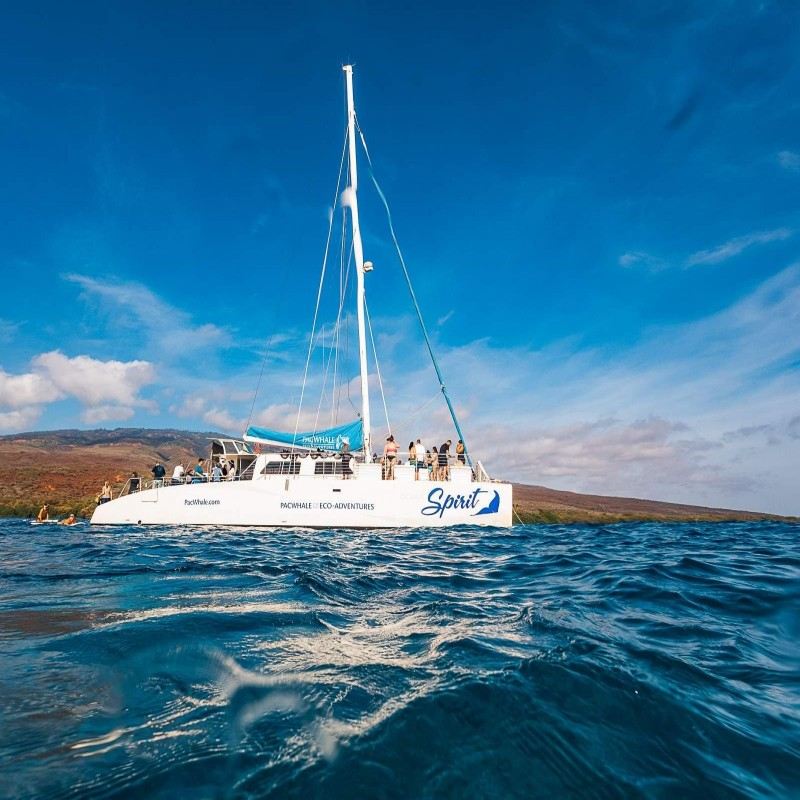 Esperienza di immersione subacquea e snorkeling di 5 ore sull'Isola di Hawaii, USA [Tour di snorkeling a Lanai e crociera per avvistare i delfini alle Hawaii (pranzo incluso) 169811]