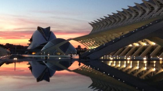 Visita guidata di 2,5 ore alla Città delle Arti e delle Scienze e all'Oceanografico