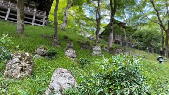 Otagi Nenbutsu-ji & Arashiyama Bamboo Forest Walking Tour