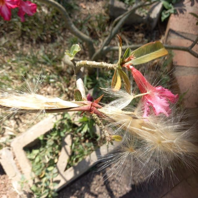 One Day Litchfield Park Adventures Tour + Berry Springs