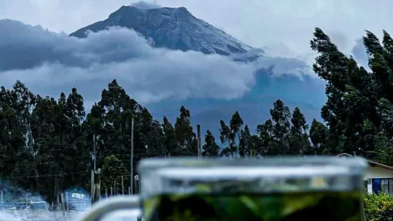 Cotopaxi Volcano: Visit from Quito, Alpaca, Lagoon and volcanoes