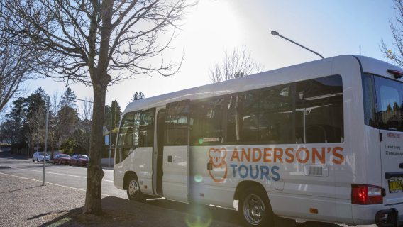 Sydney, Australia Blue Mountains All-Inclusive Day Tour (Includes Cruise & Lunch)