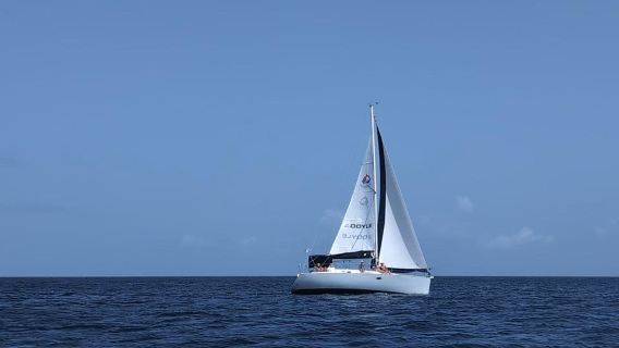 Barbados: Small group Sailing Adventure on a Monohull