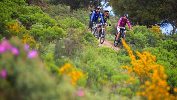 Ramatuelle: Tracks & Tasting Winery Tour by Mountain E-Bike