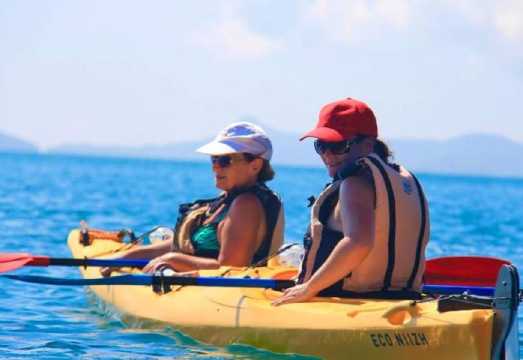 Airlie Beach Half Day Turtle Tour Sea Kayaking Adventure: What to Expect Before You Book