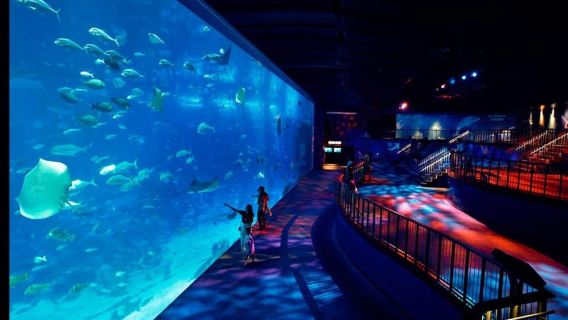 Transfert privé : de Singapour à l'île de Sentosa