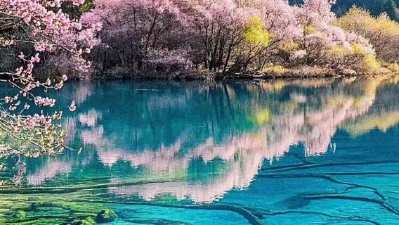 九寨溝-黃龍風景區-黃龍九寨高鐵站（5人座車輛類型）（上門接送）單程直通車