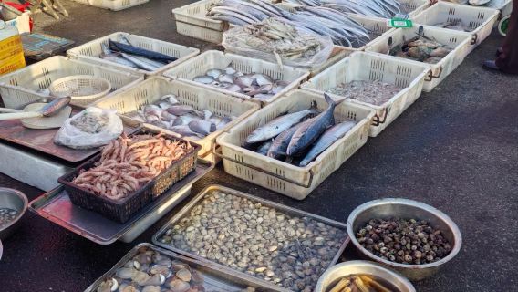 Shandong: Pengalaman Budaya + Mengutip Cengkerang di Pantai