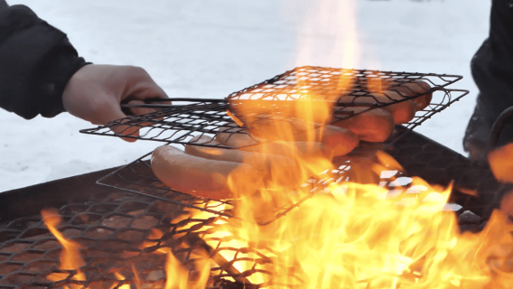 Ciaspolate nella natura selvaggia dell'Artico