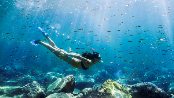 4 excursiones de snorkel a Nusa Penida [Reunión en tienda de buceo/Salida desde Bali con traslado privado y billete de barco opcional]