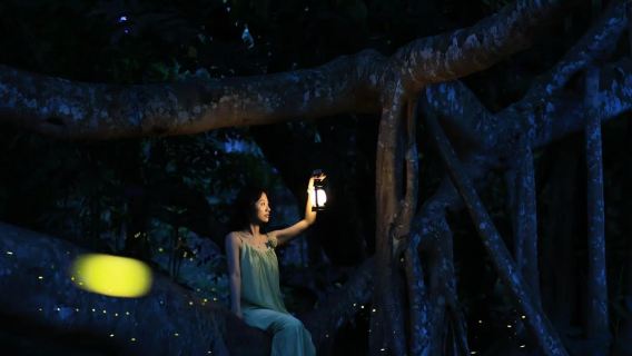 Deep Xishuangbanna Tropical Botanical Garden 1-day tour + night tour [includes dinner option, guide, night exploration]