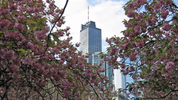 Frankfurt: Geführter Spaziergang zwischen Palmen und Skyline