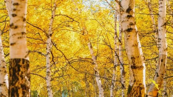 東靈山一日遊【健行登山+探秘京西珠穆朗瑪】