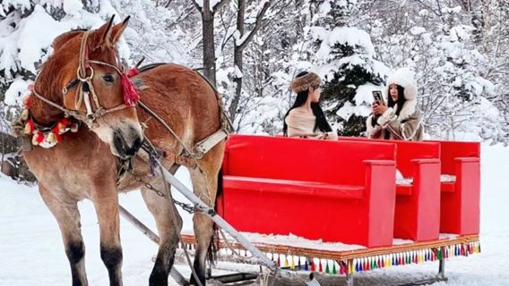 ヤーブリ世界一の滑走路+馬そり【スノーディスク無料プレゼント】
