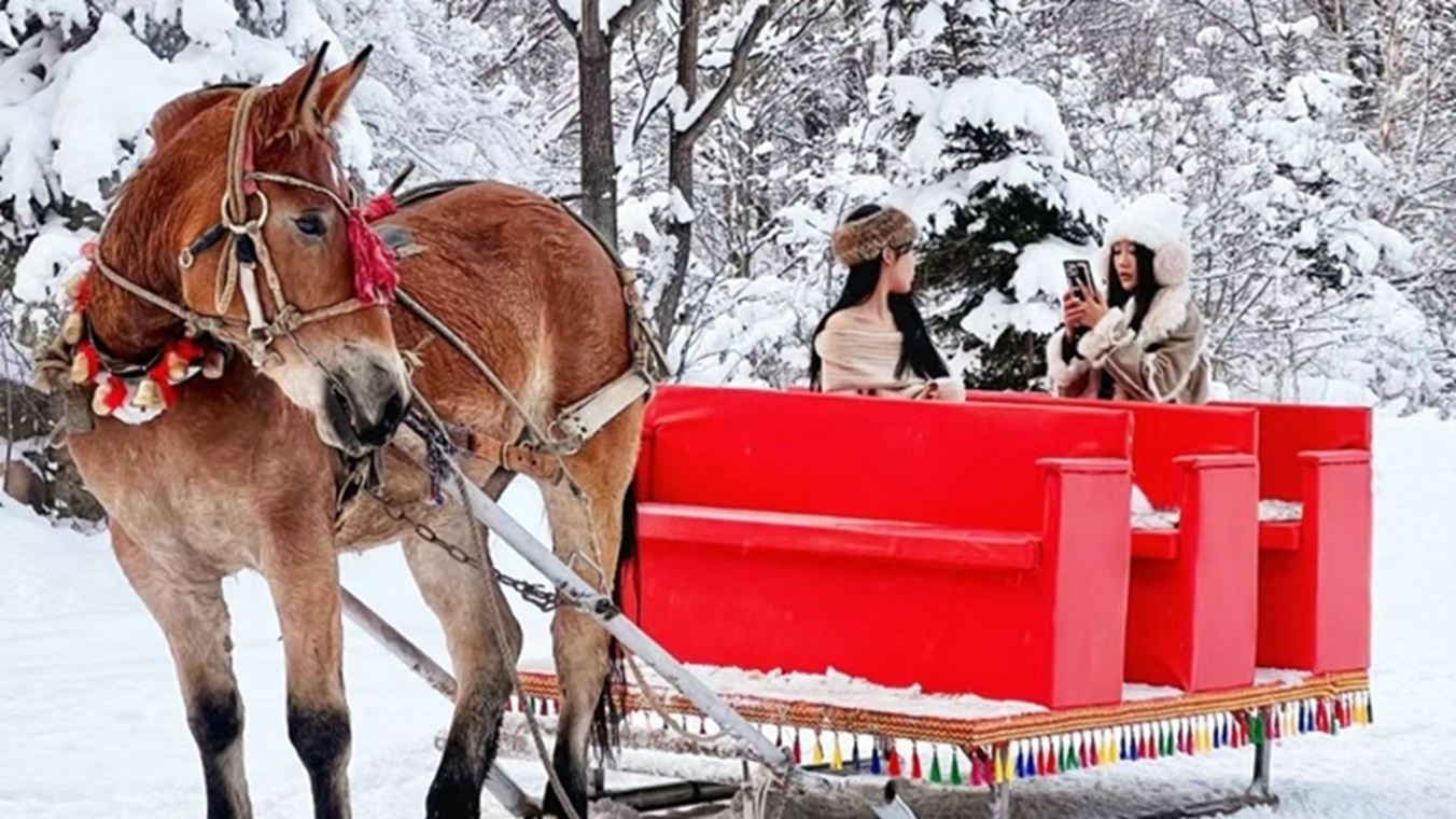 สไลเดอร์ที่ยาวที่สุดในโลกที่ย่าบู่หลี่ + เลื่อนลากโดยม้า [ของแถมจานเลื่อนหิมะ]