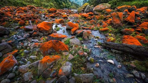 喇叭河徒步一日遊