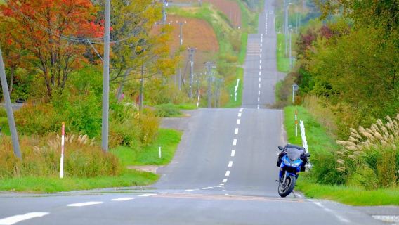 日本札幌青池＋雲霄飛車路＋四季彩之丘＋拼布之路【攝影專線】