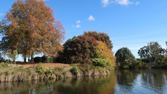 Auckland pergi-balik: Waiheke Island + Taman Botani + lawatan sewa peribadi Jambatan Teluk Auckland + Tidak Termasuk tiket masuk