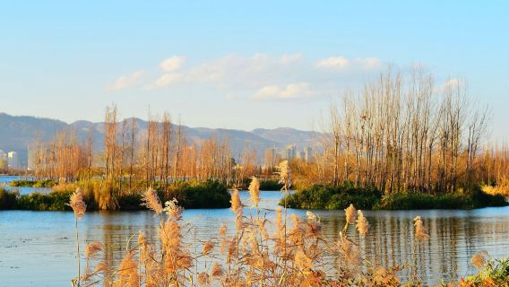 探尋古大理國的前世今生：巍山古城 + 巍寶山