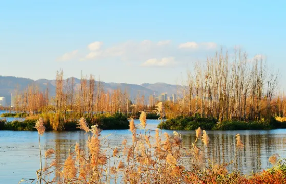 探尋古大理國的前世今生：巍山古城 + 巍寶山
