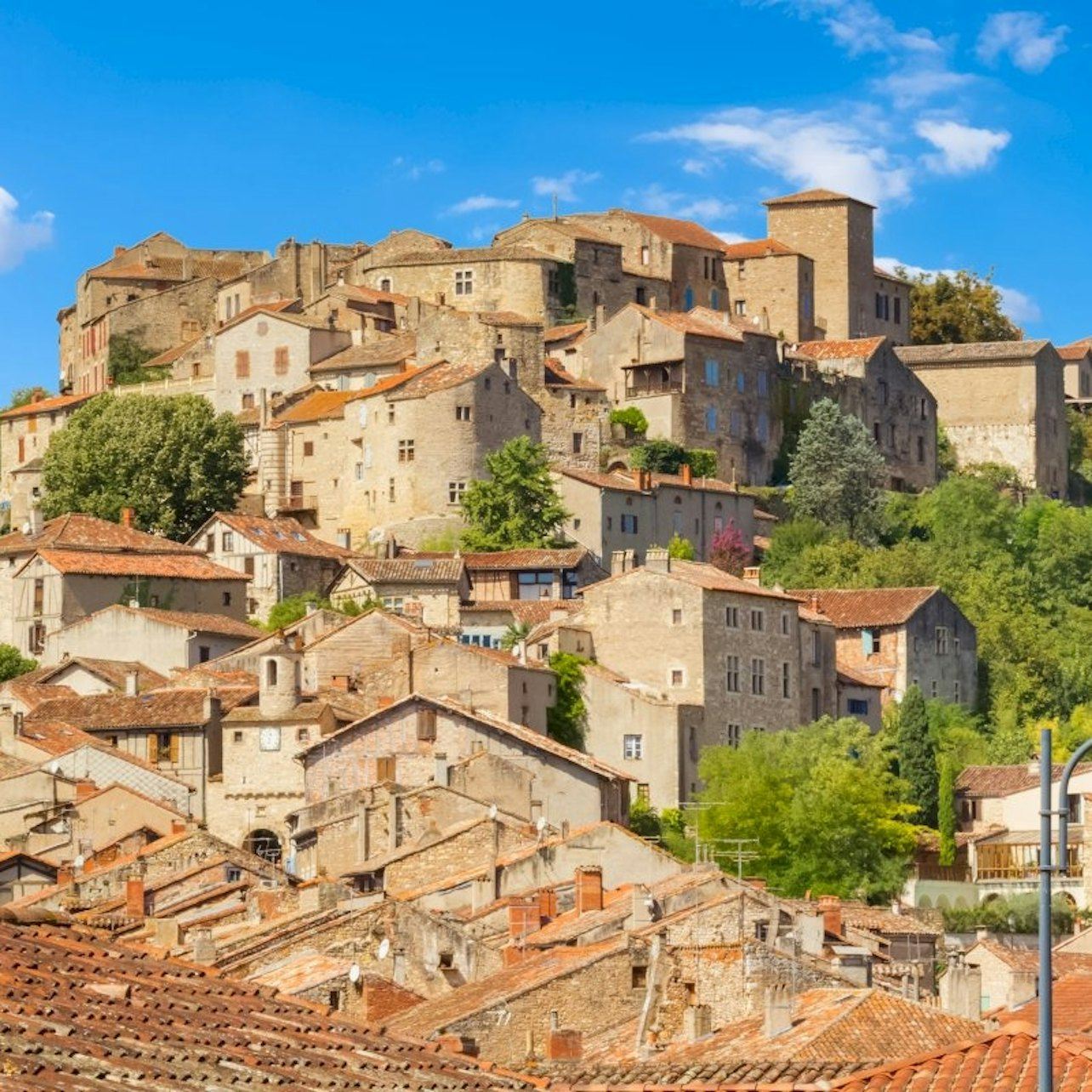Albi, Cordes-sur-Ciel & Gaillac: Guided Tour from Toulouse + Wine Tasting