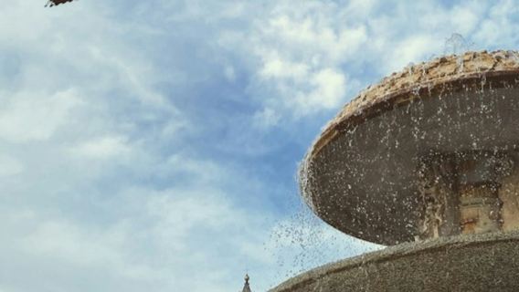 St. Peter's Basilica: Reserved Entry