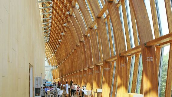 Galleria d'arte dell'Ontario: visita guidata per piccoli gruppi