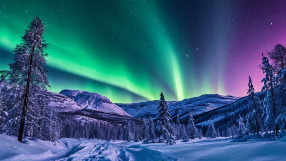 однодневный тур за северным сиянием в Мурманске