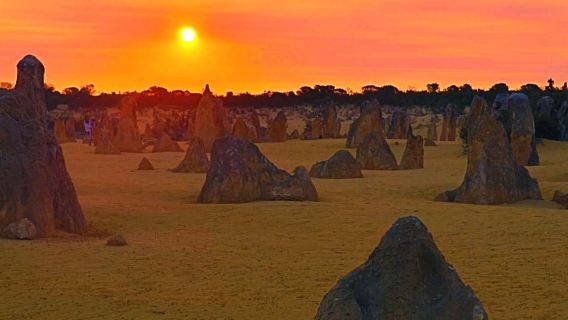 Tour di un giorno in cinese/inglese con sandboarding al Deserto dei pinnacoli da Perth (partenza dal centro città)
