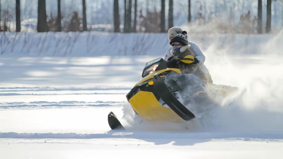 Winter-Tagesausflug in Hokkaido|Asahiyama Zoo + Shikisai no Oka (optional Schneemobil)