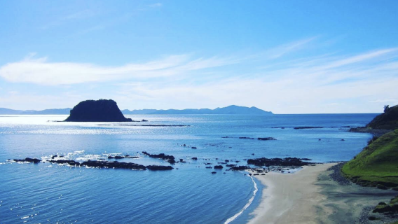 新西蘭奧克蘭-懷希基島&葡萄酒莊一日遊【中文專車】