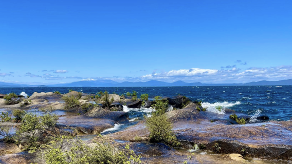 紐西蘭奧克蘭-哈嘿+教堂灣+熱水海灘【中文專車-愜意舒適】